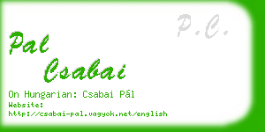 pal csabai business card